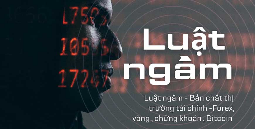 Ebook Luật ngầm – Bản chất tài chính kinh tế đầu tư